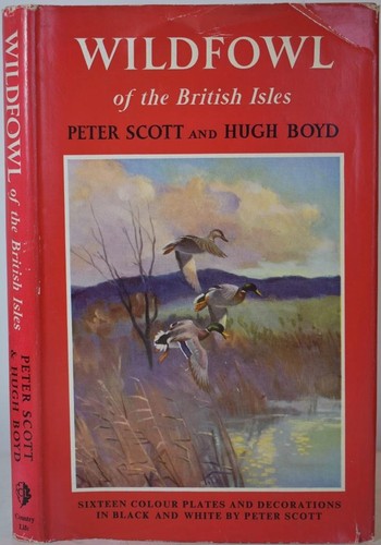 Wildfowl the british isles - wildfowl,