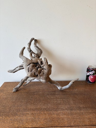 Driftwood piece root tangle - root,