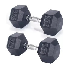 Hex Dumbbells Set 20kg Pair