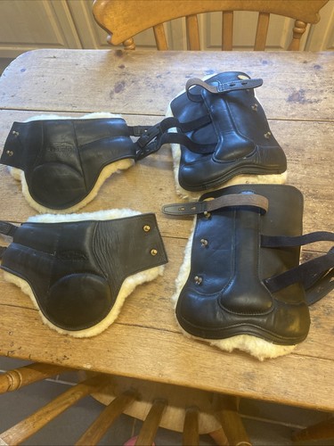 Kentaur tendon and fetlock - kentaur,