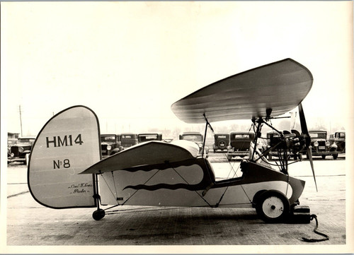 Mignet flying flea - mignet,