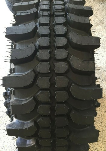 Ziarelli forest 285 r16 - forest,