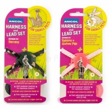Ancol Ferret Rabbit Guinea Pig Harness and Lead Set Adjustable Small Animal