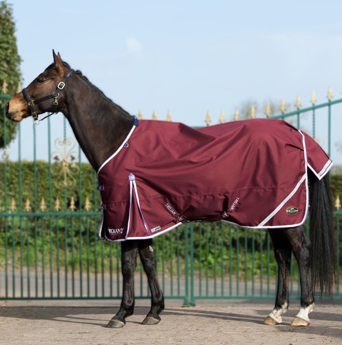 Gallop trojan xtra - gallop,