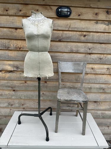 Vintage mannequin tailors - mannequin,