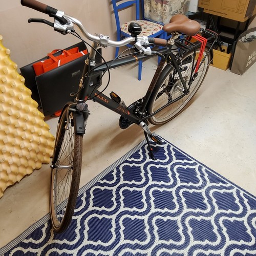 Raleigh pioneer grand tour - pioneer,