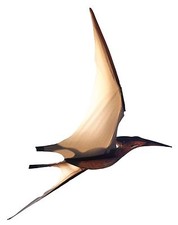 Jurassic Kites - Pterodactyl. Unique and realistic looking Dinosaur kite