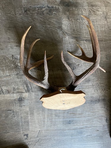 Point vintage real texas - 10,