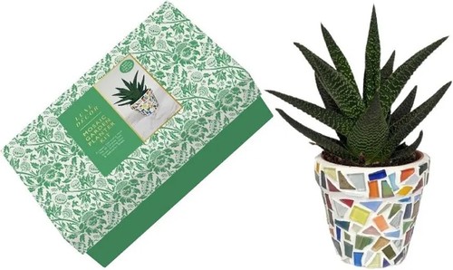 Mosaic craft garden planter - mosaic,