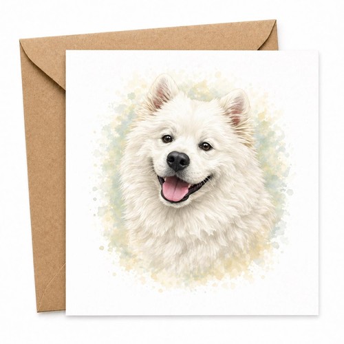 Dog greeting card samoyed - greeting,