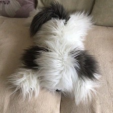 Old English Sheep Dog Soft