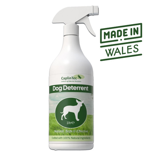 Stop dog deterrent repellent - dog,