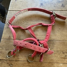 Monty Roberts Dually