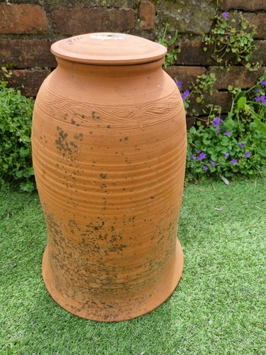Terracotta rhubarb forcer - terracotta,