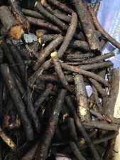 25g Comfrey Bocking 14  Root