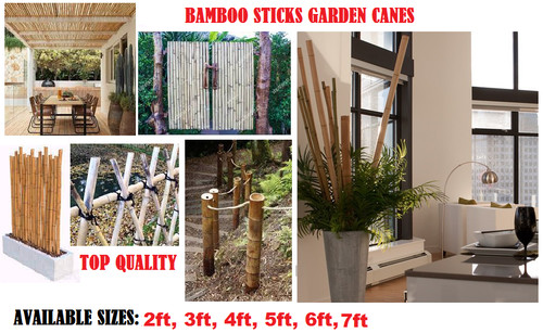Bamboo sticks wooden plant - wooden,