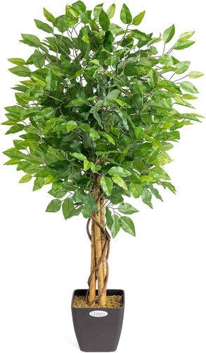 Christow artificial ficus - artificial,