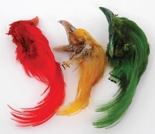 Golden Pheasant Topping Crest Assorted Colours