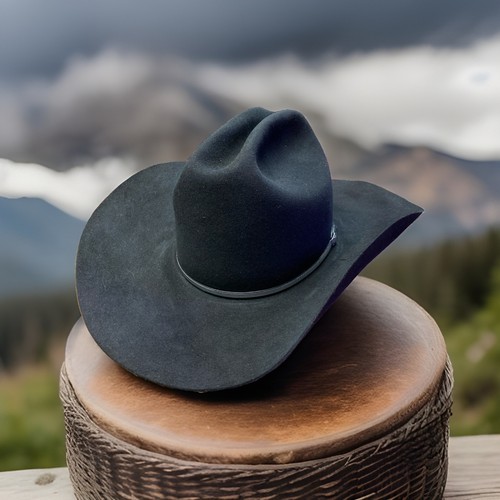 Vintage stetson beaver cowboy - vintage,