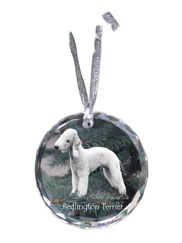 Bedlington terrier rothbury - terrier,,