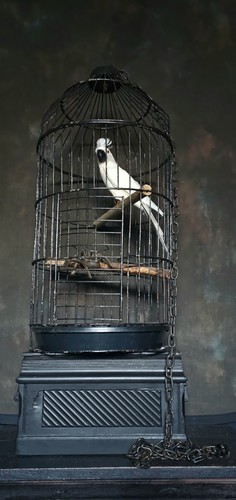 Antique vintage large gothic - antique,