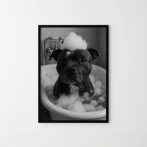 Staffy dog bath funny - staffy,