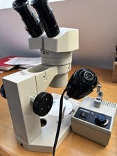 Stereo Microscope