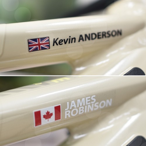 Bike name frame stickers decal - bike,
