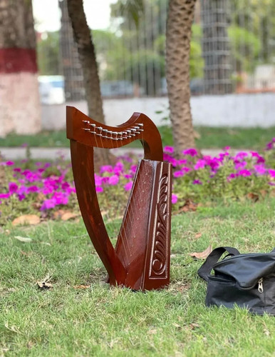 Rosewood irish lyre - irish, 12