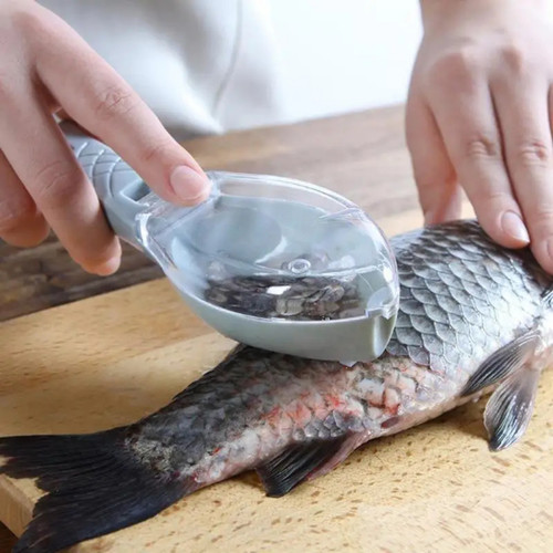 Fish skin brush scraping - fish,