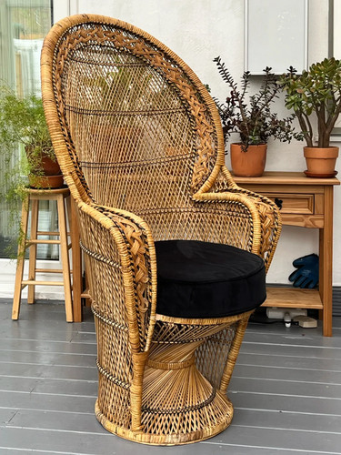 Iconic emmanuelle peacock - emmanuelle,