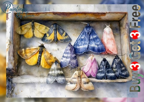 Moth collection print on - moth, |