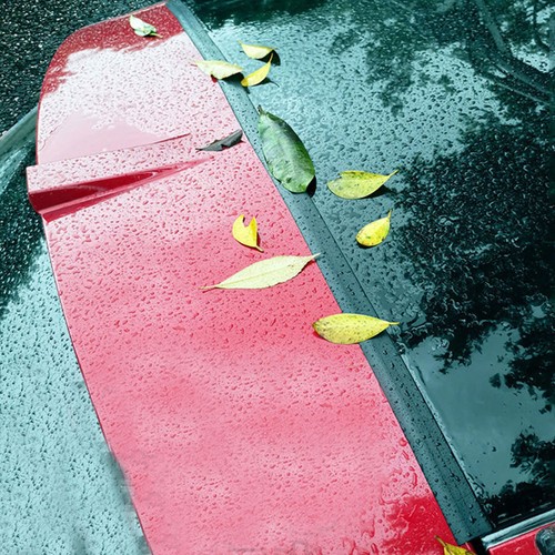 Car trunk gap - cover, seal