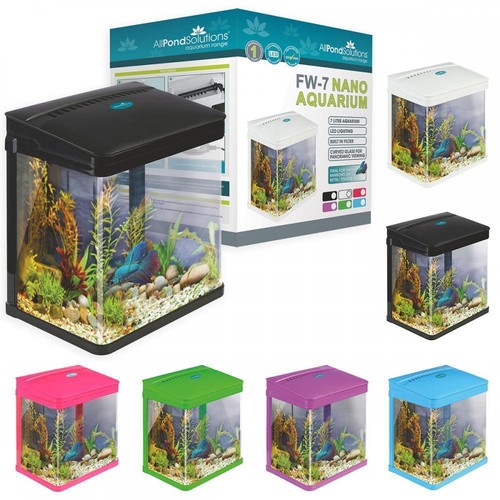 Small starter aquarium fish - starter,