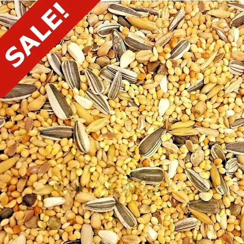 Exotic bird mix - mix, &
