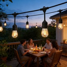 49FT Heavy Duty Festoon Lights