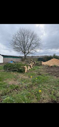 Free logs wood - free, chippings