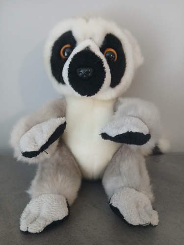Ring tailed lemur - ring,