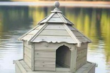 Medium Hexagonal Floating Duck