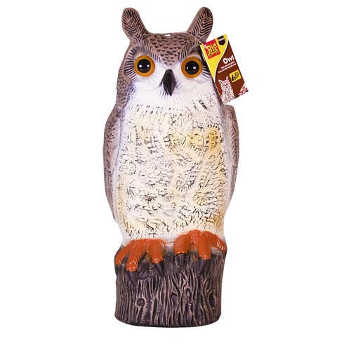 Realistic owl decoy - owl,