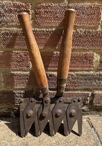 Vintage astor garden - astor, shears