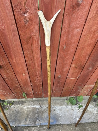 Vintage genuine deer antler - ,