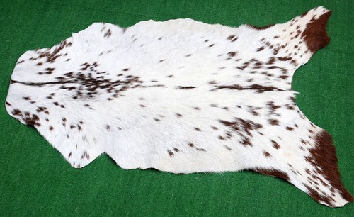 Genuine goat hide - goat,
