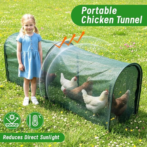 Foldable chicken run tunnel - chicken,