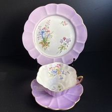 Rare Shelley Bone China
