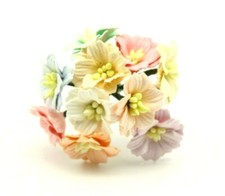 10x Mulberry paper Mini Apple