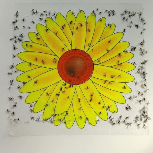 Fly catcher window - 10,
