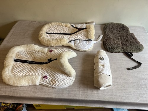 Equestrian bundle job - equestrian, /