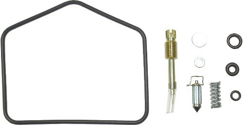 Carburettor repair kit - repair, for