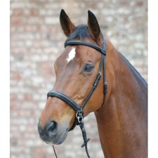 Star Bitless Bridle - Scawbrig Style Bitless Bridle & Reins